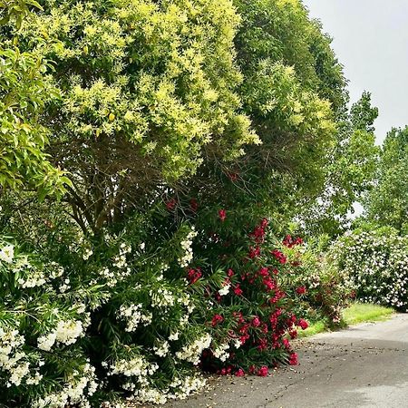 Willa Casa Mila White Marina di Cerveteri Zewnętrze zdjęcie