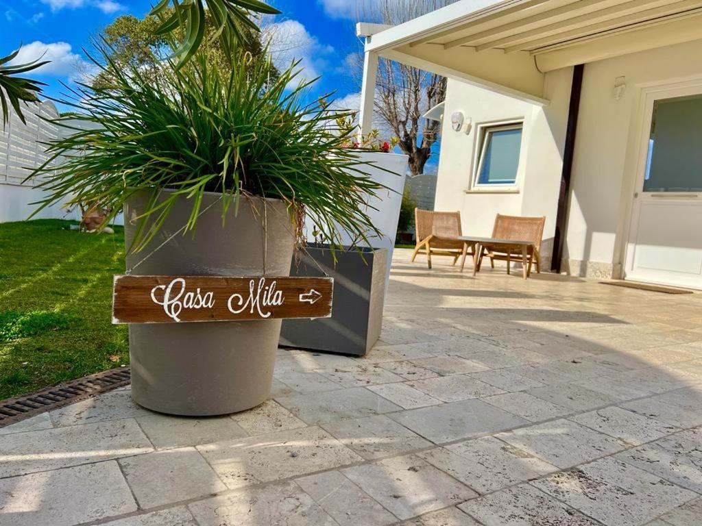 Willa Casa Mila White Marina di Cerveteri Zewnętrze zdjęcie