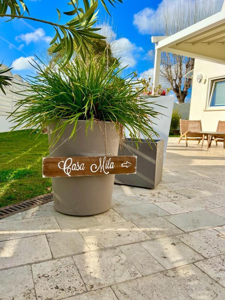 Willa Casa Mila White Marina di Cerveteri Zewnętrze zdjęcie
