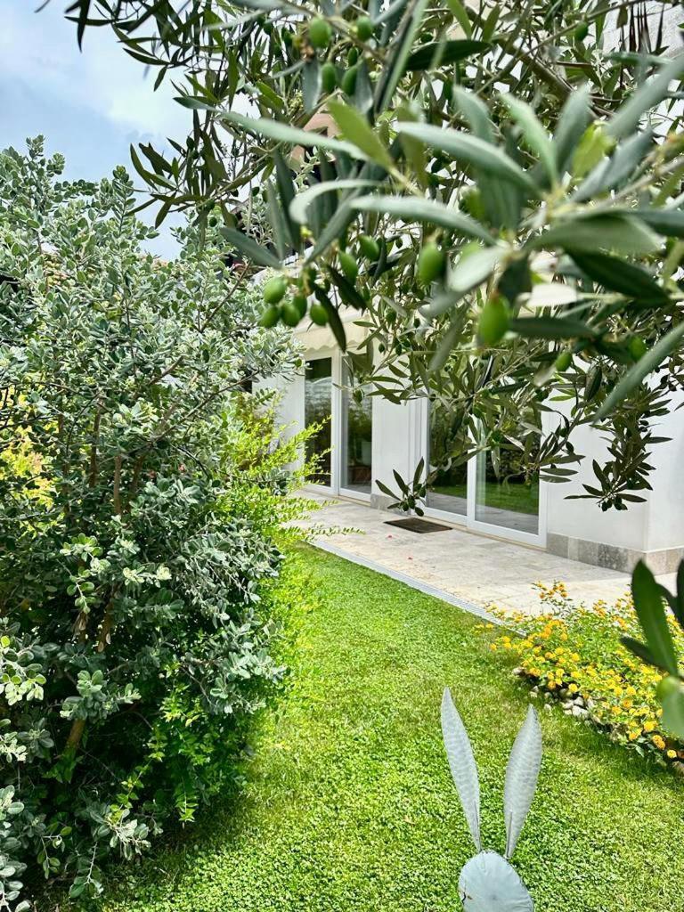 Willa Casa Mila White Marina di Cerveteri Zewnętrze zdjęcie