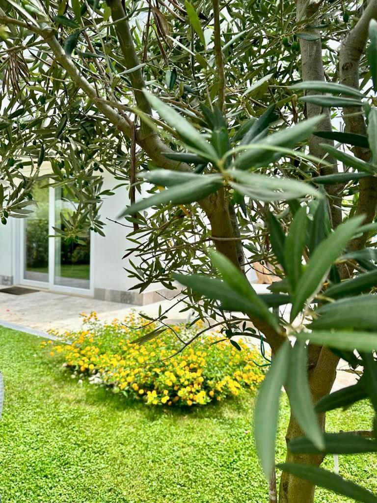 Willa Casa Mila White Marina di Cerveteri Zewnętrze zdjęcie