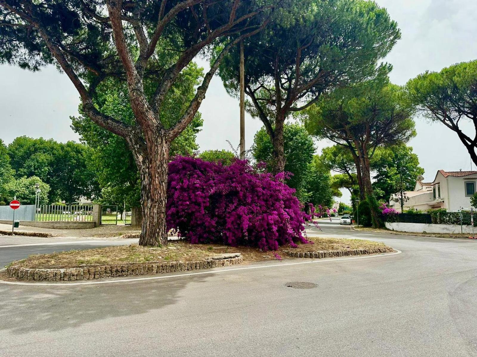 Willa Casa Mila White Marina di Cerveteri Zewnętrze zdjęcie